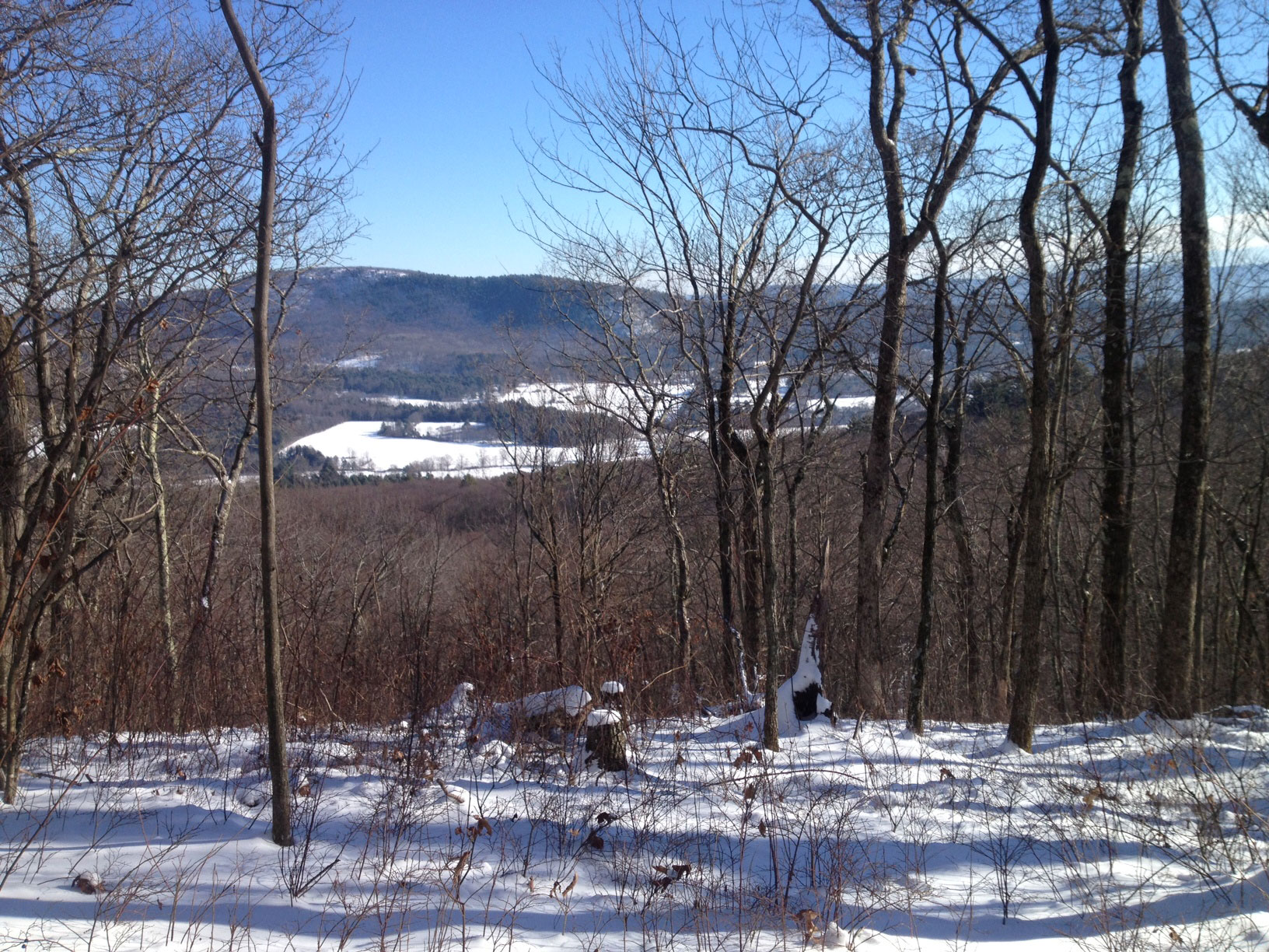 Five Fabulous Winter Hikes in the Berkshires