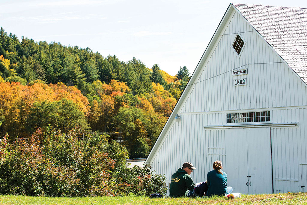 Heirloom apples grow here