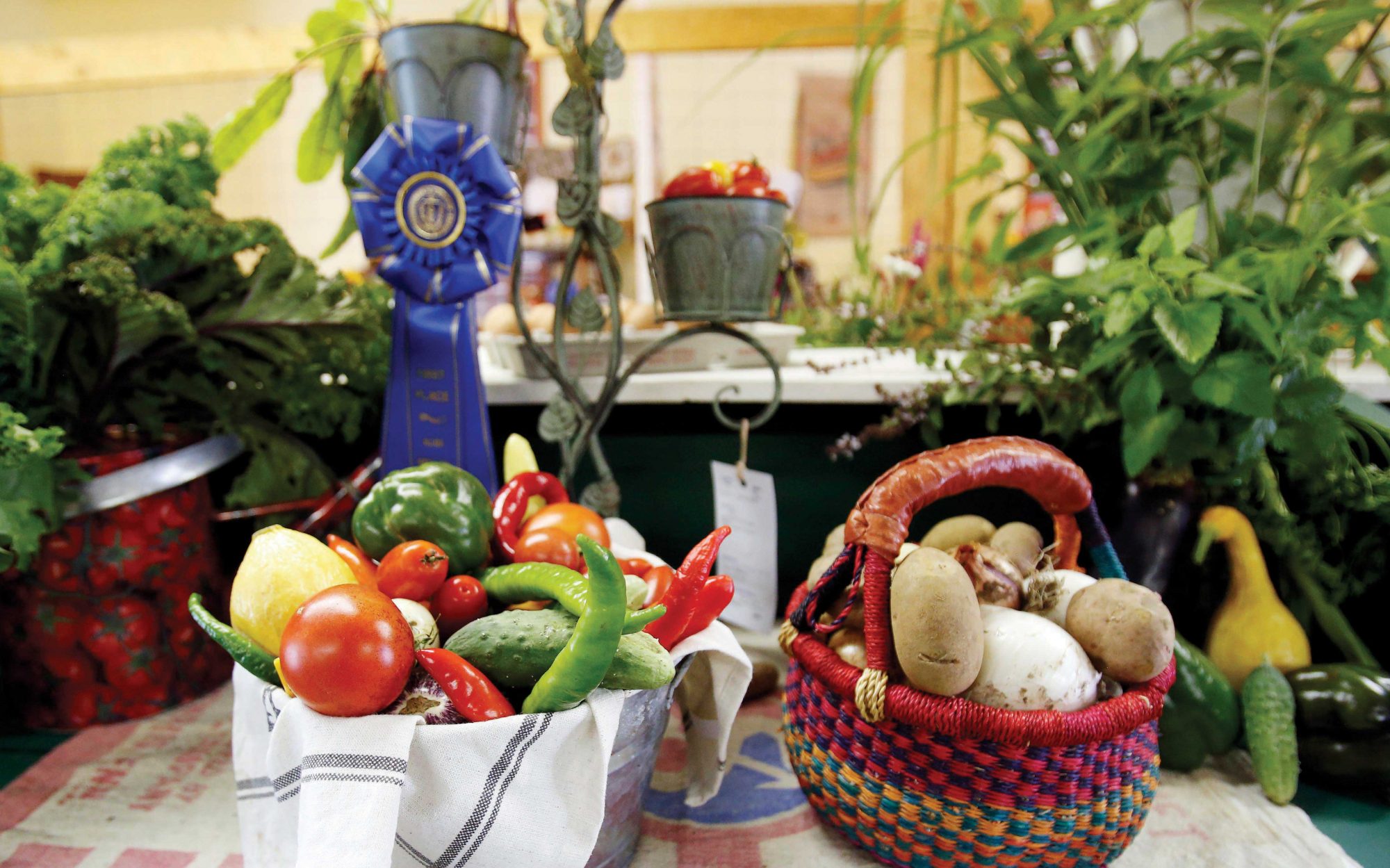 Ten Fair 10 fairs you don’t want to miss