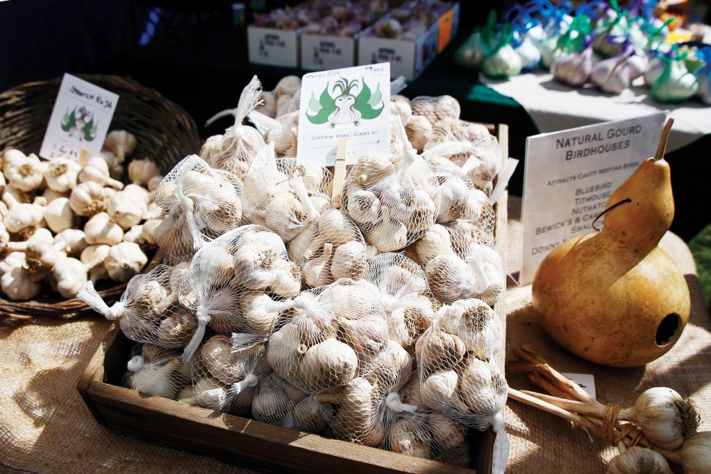 Garlic and Herb Festival