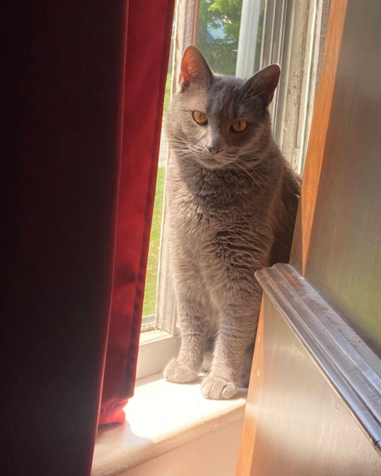 Vermont Country Magazine