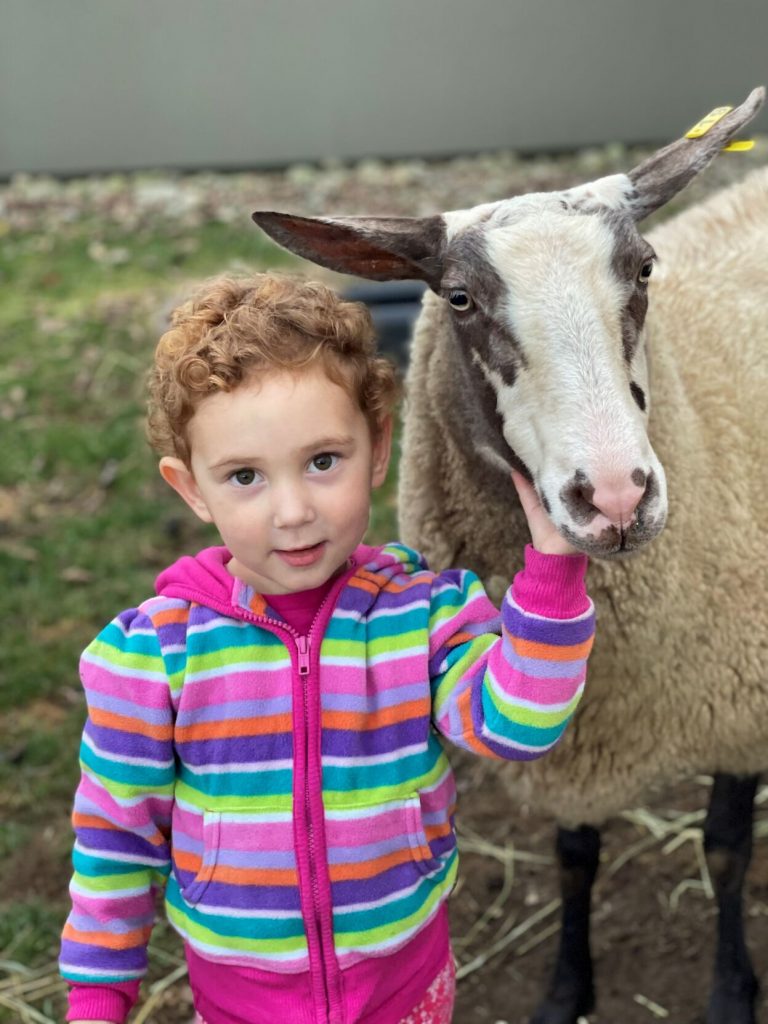 Fat-Sheep-Farm-Vermont-Country-Magazine-best-places-to-stay