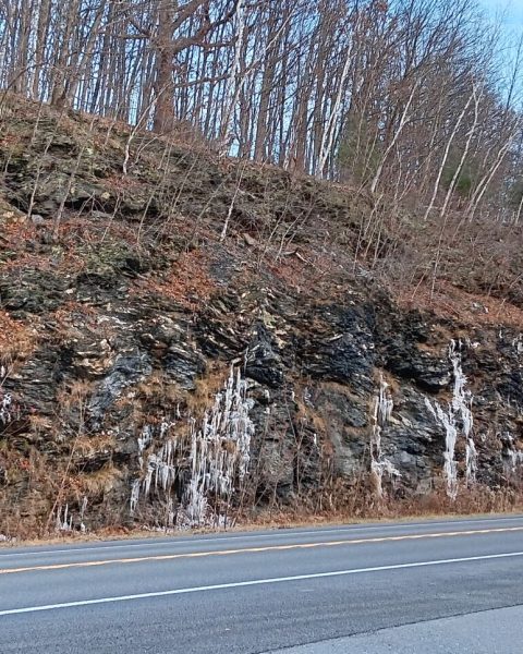 The author identifies this formation on Route 7 in Pownal Center as: Black mica schist and phyllite, Hortonville Formation, Lower Ordovician Period, 460 million to 435 million years old. Photo provided by Victor C. Capelli.