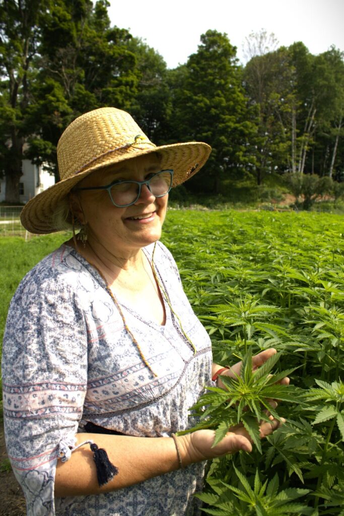 Danielle M. Crosier — Vermont Country Andrea Myklebust cradles the head of a hemp cultivar in her cupped hands. It'll give you a headache if you smoke it — but it makes excellent fiber, she said.