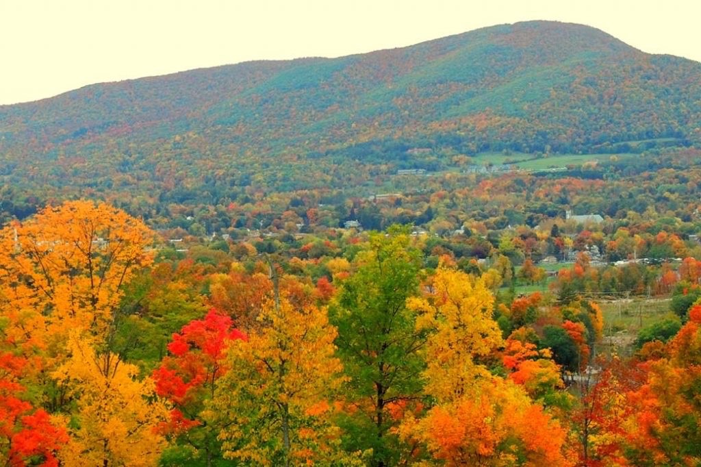 Bennington early fall foliage. Photo Credit Tara Schatz Large