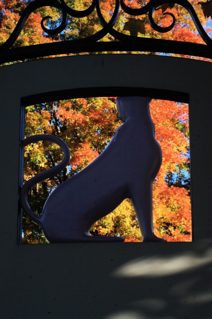Reluctant Panther-Manchester Vermont-Places to stay in the fall-4