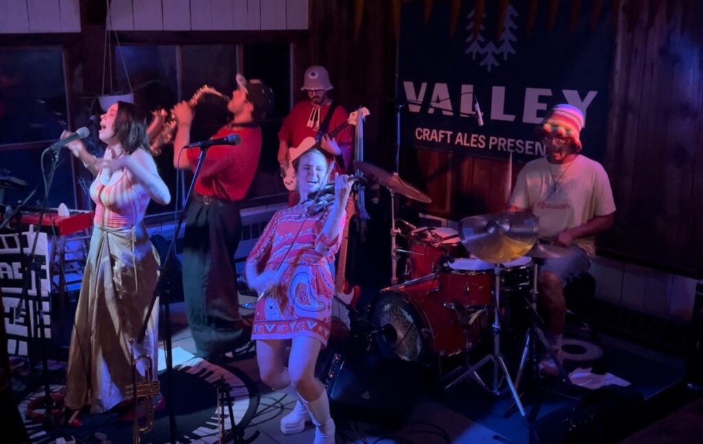 valley craft ale Large