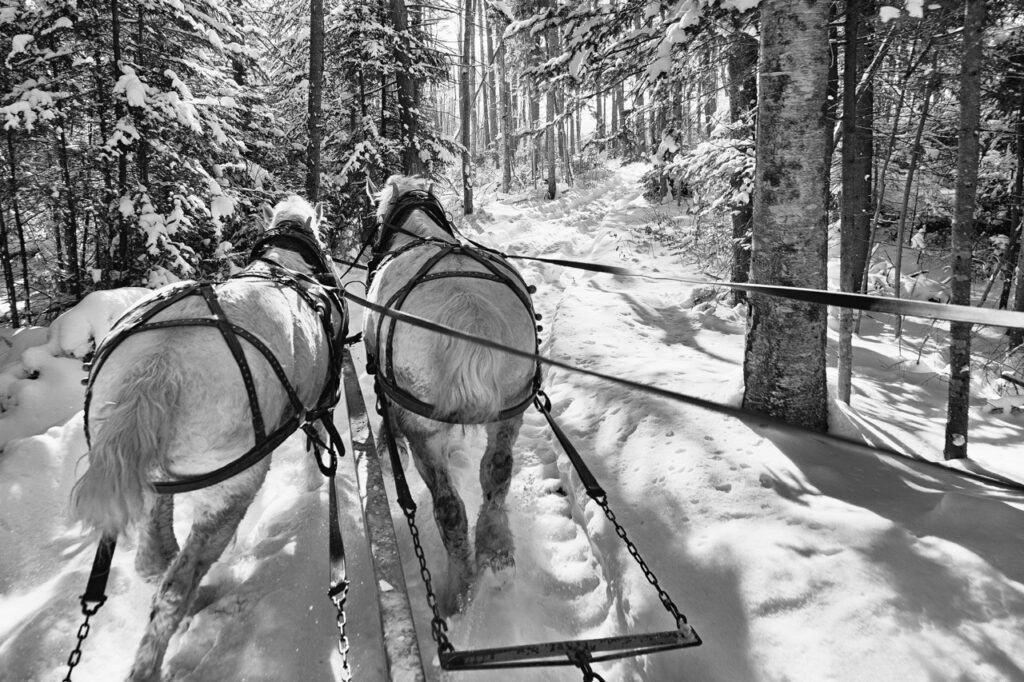 2025-10-09-SLEIGHRIDE-5 Large