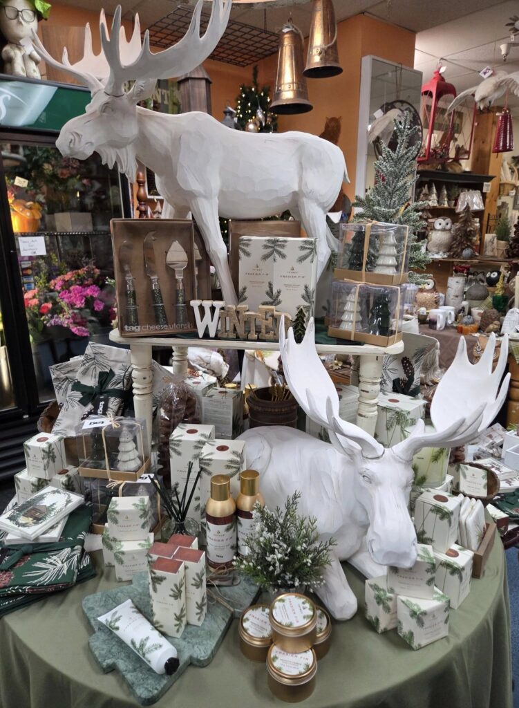 589608749_1417823893678671_905213500220059304_n