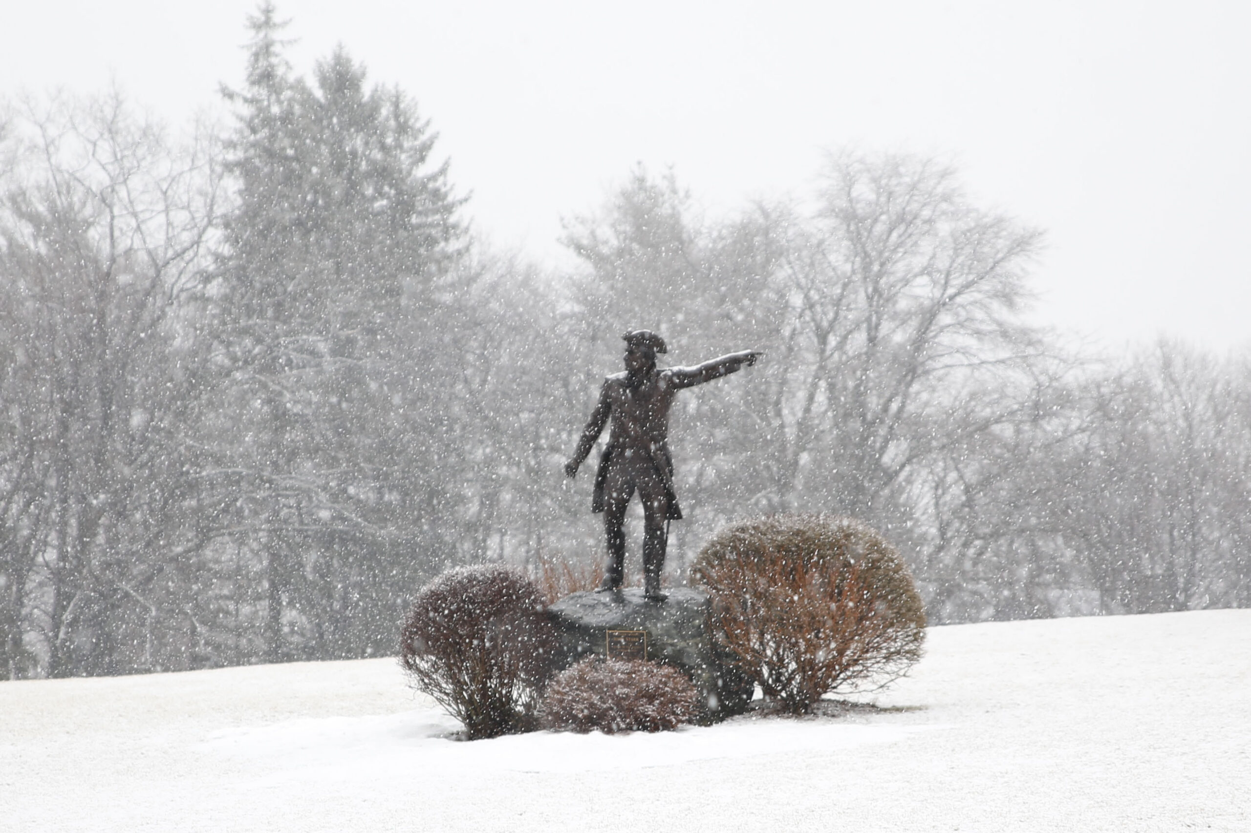 BAN-L-SPRINGSNOW-0404-5 (1)