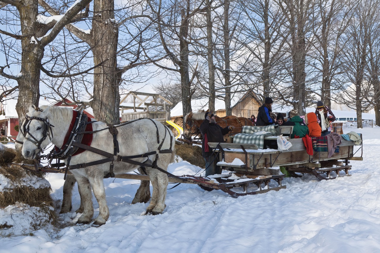 Credit to , if used 3 Large