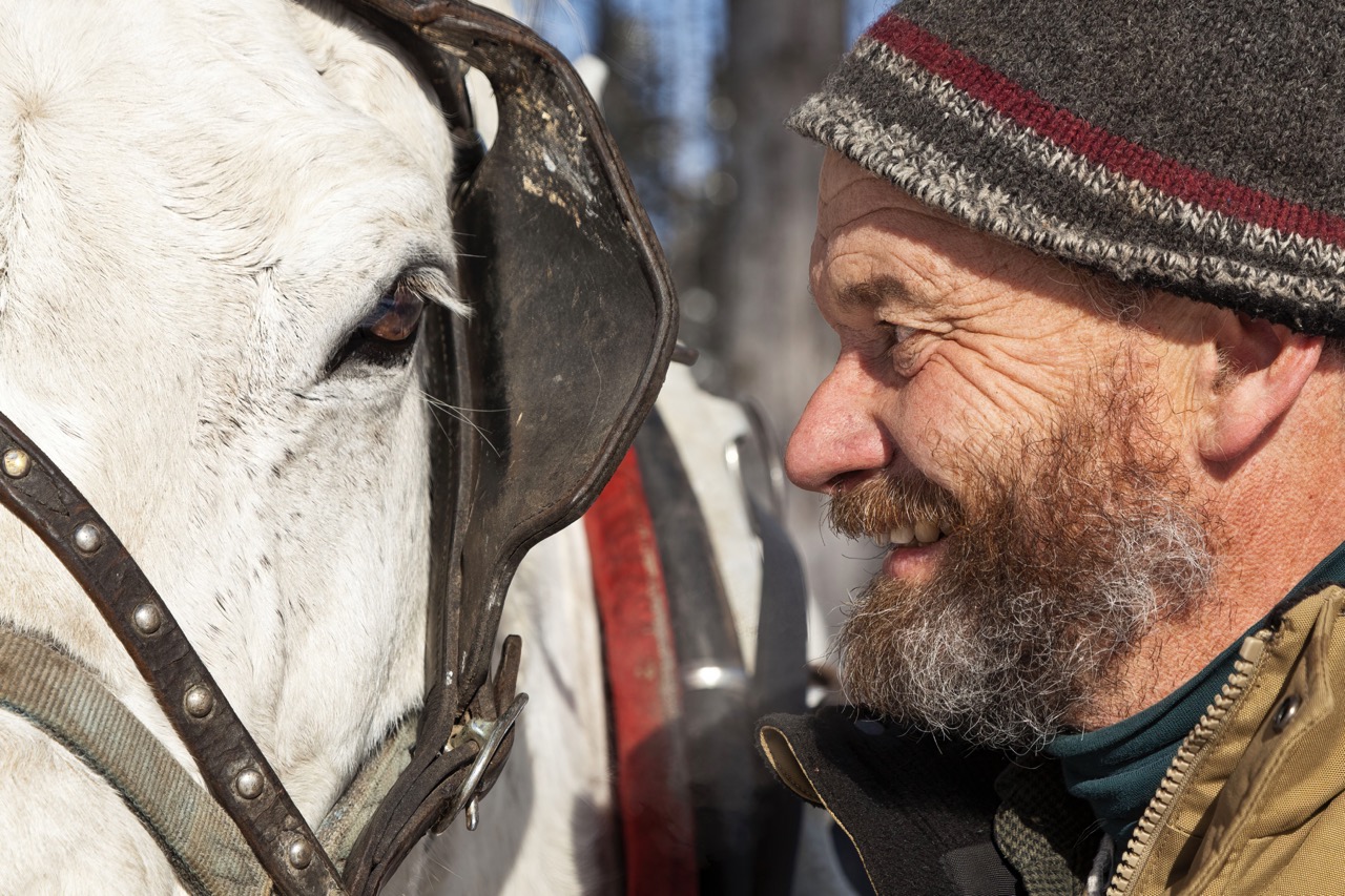 Credit to Tony Schwartz, Photography, if used 6 Large