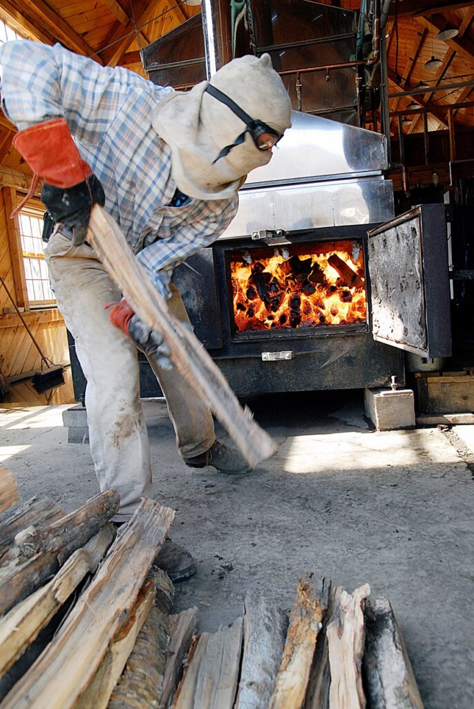 Merck Forest(1) Large