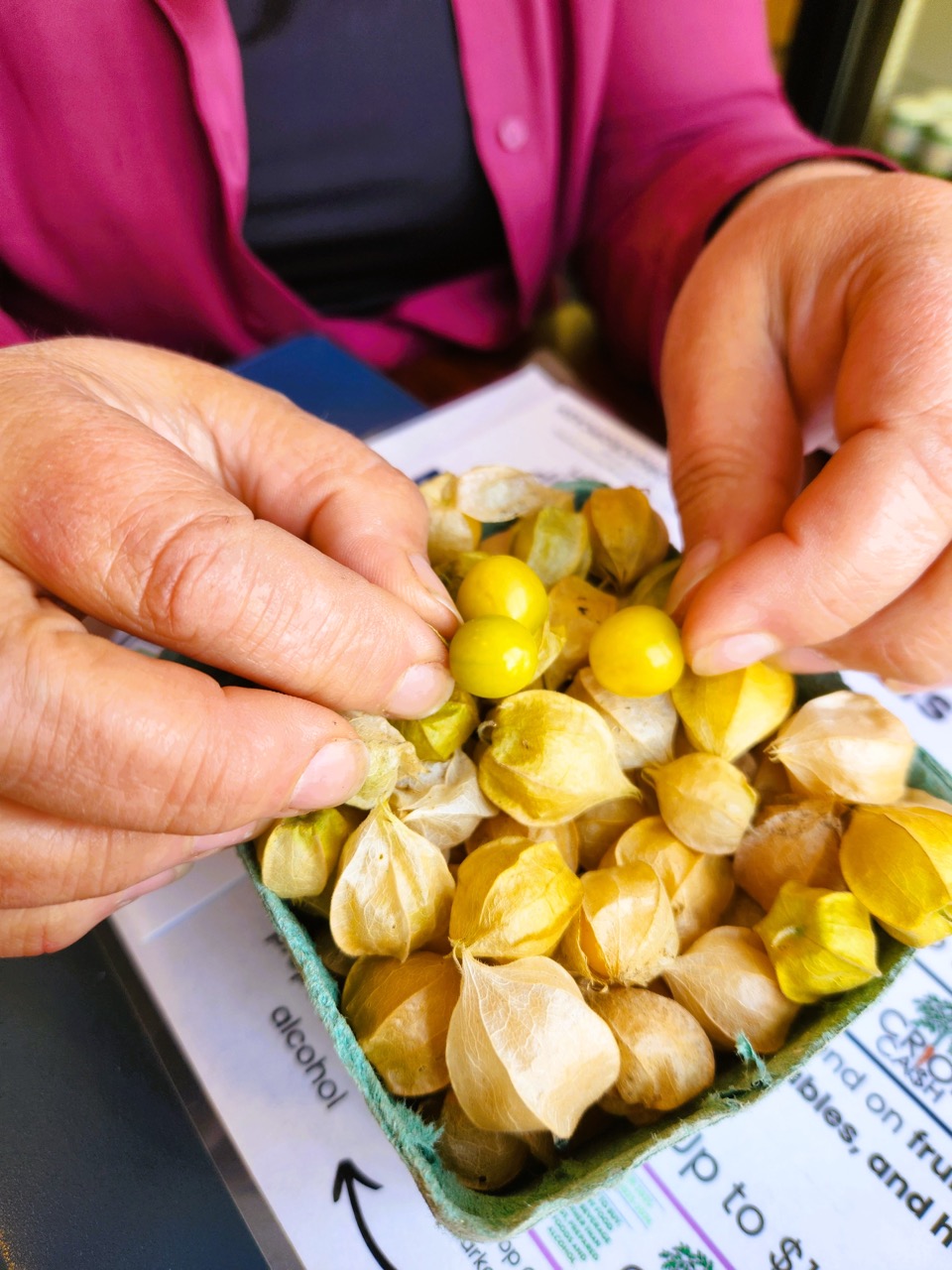 2026-02-13-PRODUCT-2 Large