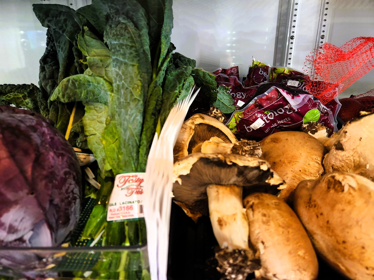 2026-02-13-PRODUCT-5 Large