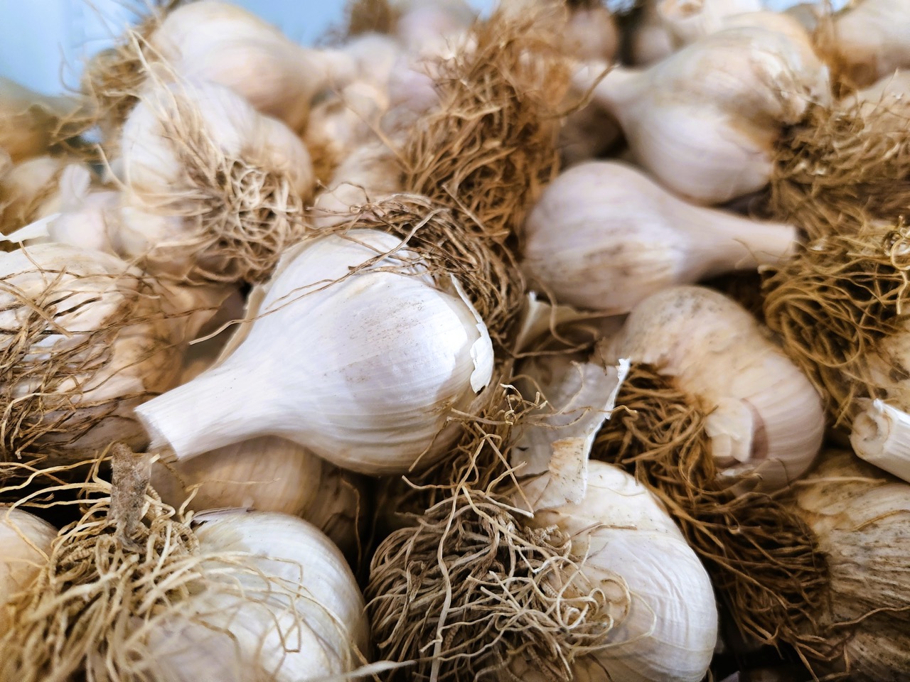 2026-02-13-PRODUCT-6 Large