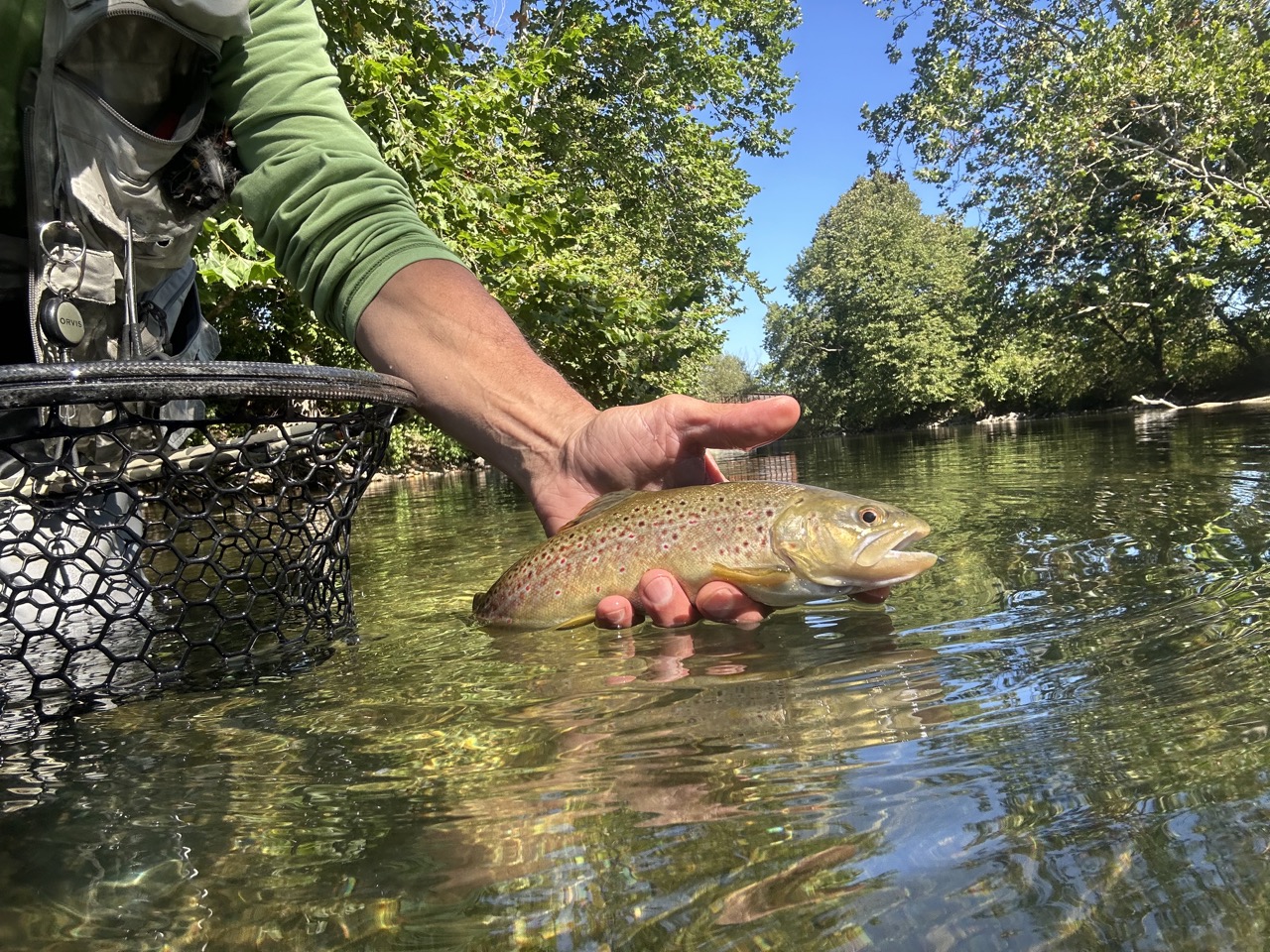 Batternkill-fly fishing-south-vermont-10