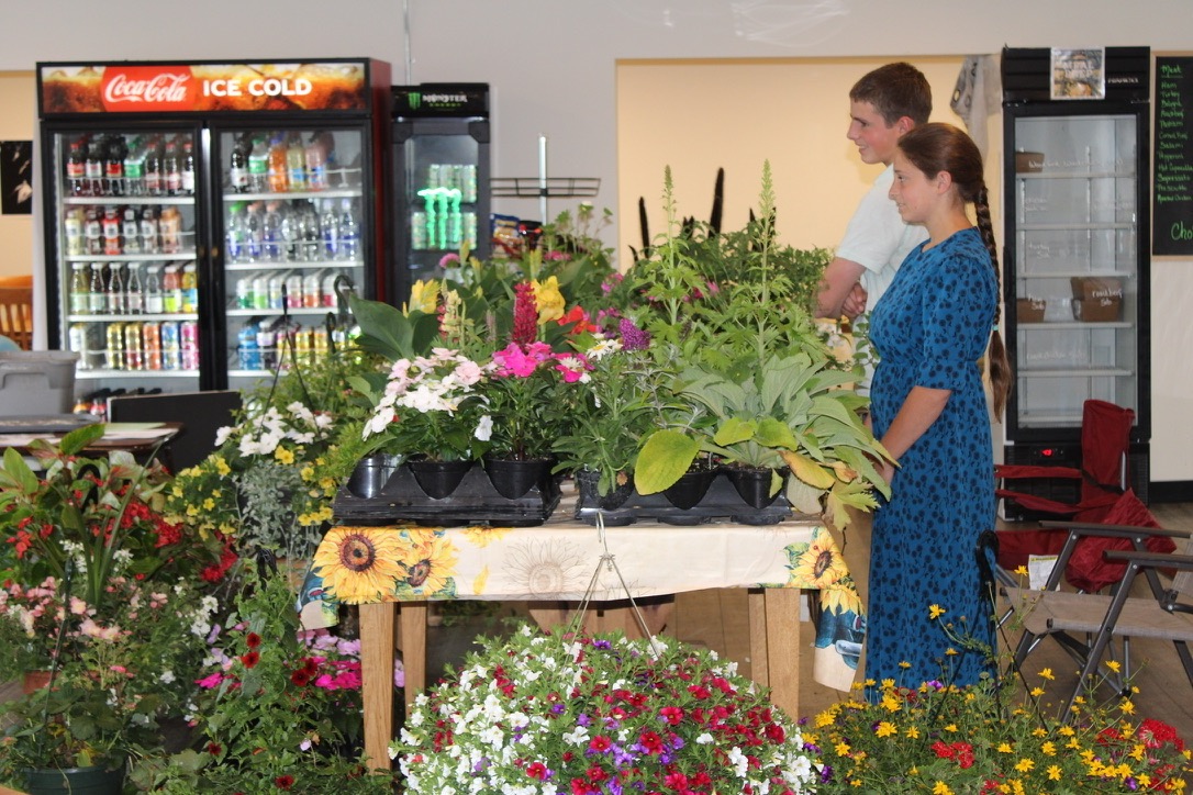 Bennington-Community-Farmers-Market-Vermont-6