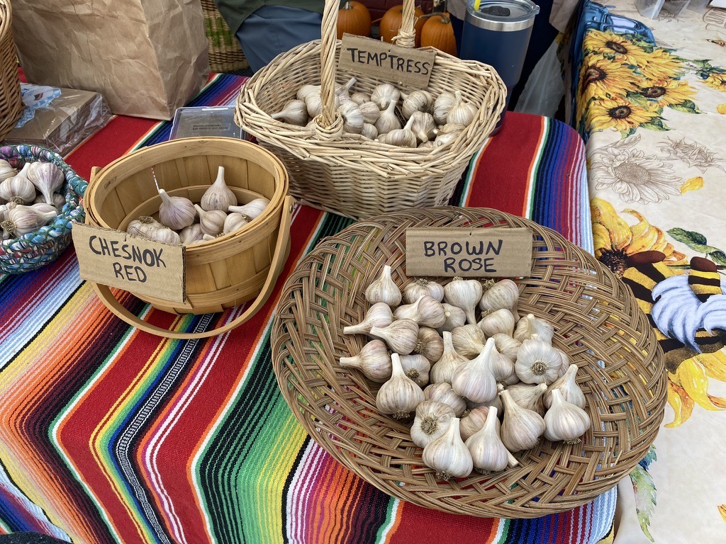 Bennington-Community-Farmers-Market-Vermont-7