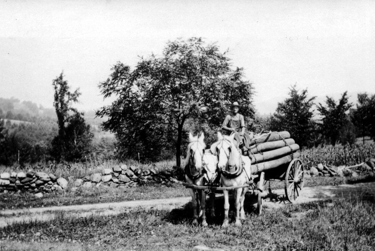 2. John Gilfeather wagon from Wardsboro History Group Large 2