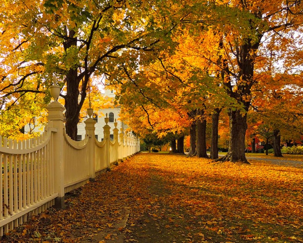 Bennington-Vermont-Visit-Fall-Foliage-Leef peeping-Autumn-11