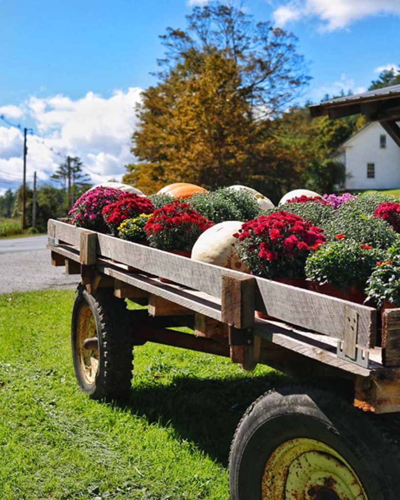 Bennington-Vermont-Visit-Fall-Foliage-Leef peeping-Autumn-13