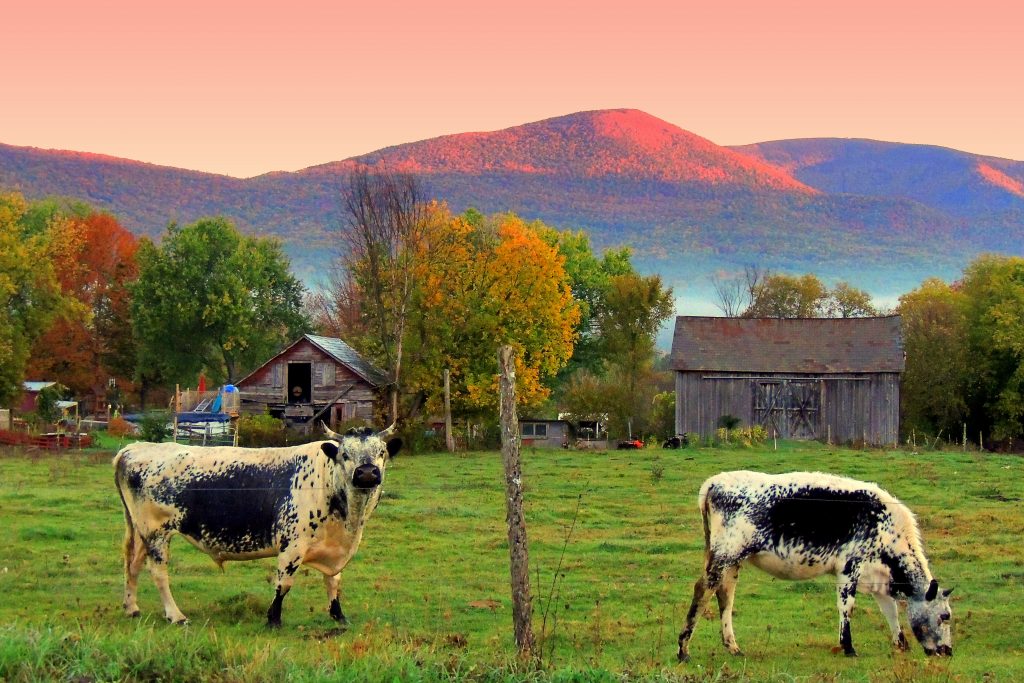 Bennington-Vermont-Visit-Fall-Foliage-Leef peeping-Autumn-14