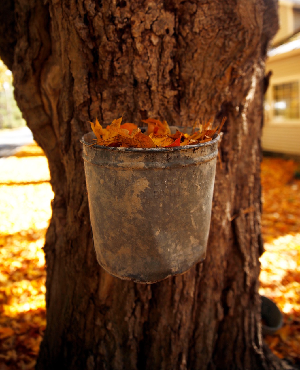 Bennington-Vermont-Visit-Fall-Foliage-Leef peeping-Autumn-3 Large
