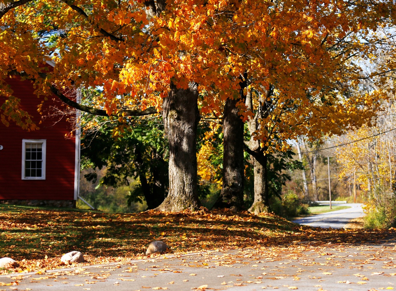 Bennington-Vermont-Visit-Fall-Foliage-Leef peeping-Autumn-4 Large