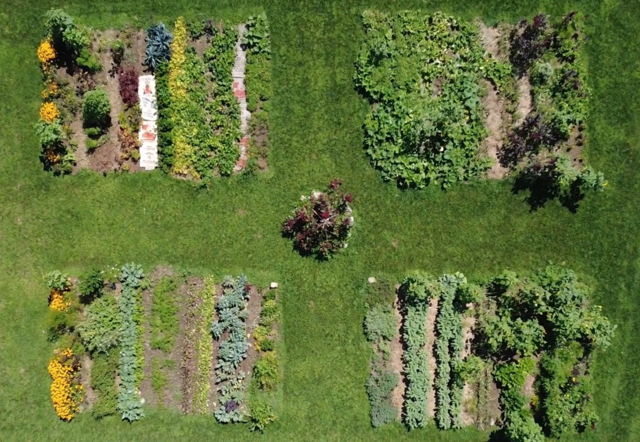 Drone - Dene Farm Garden Large