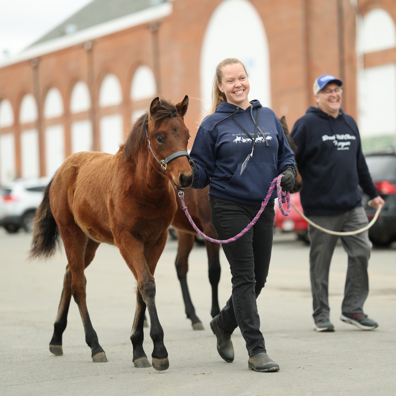 FOR SALE 25 MA Candids - Foal - 251109_ACE_5889 sq Large