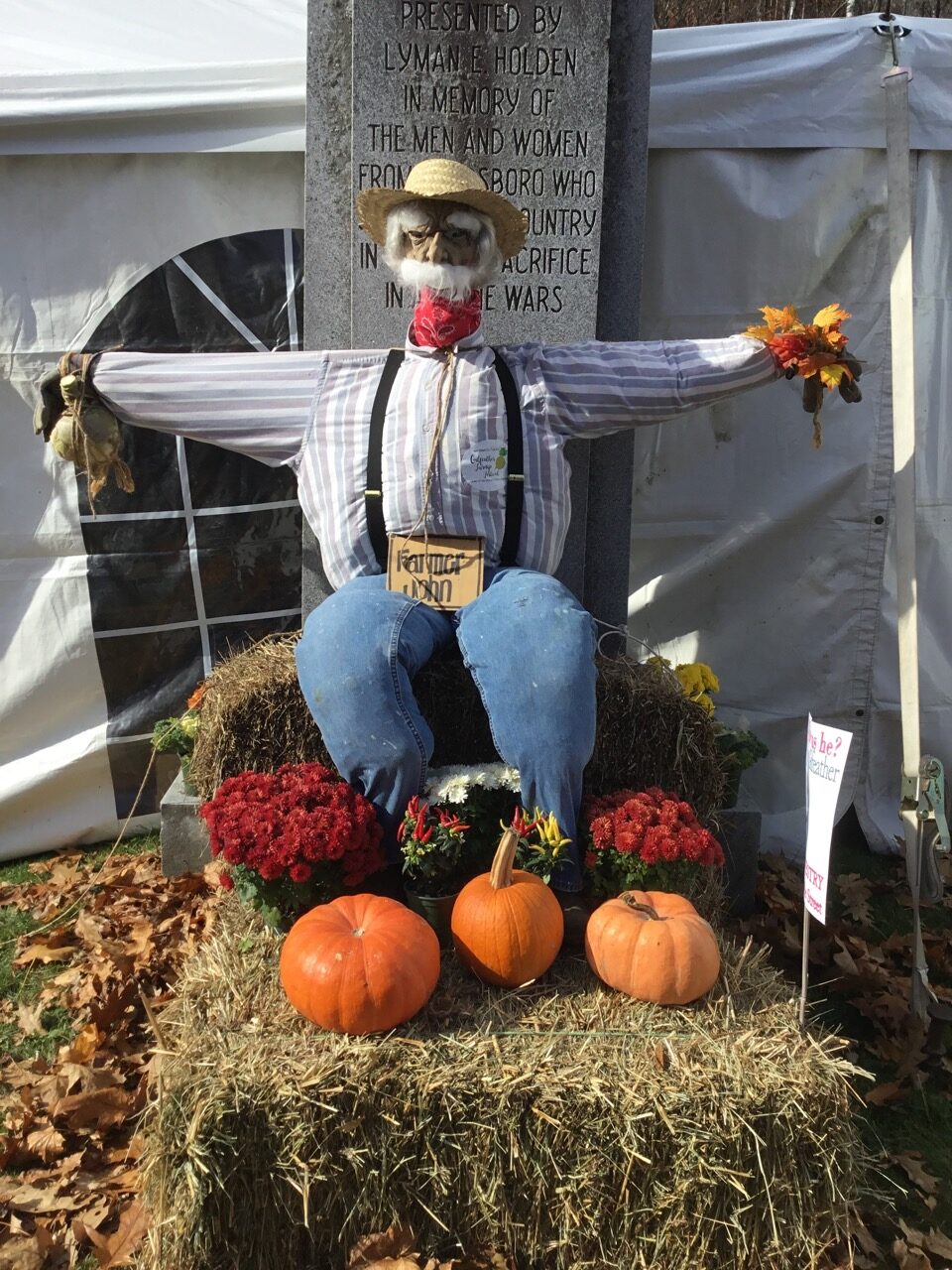 Turnip scarecrow Large